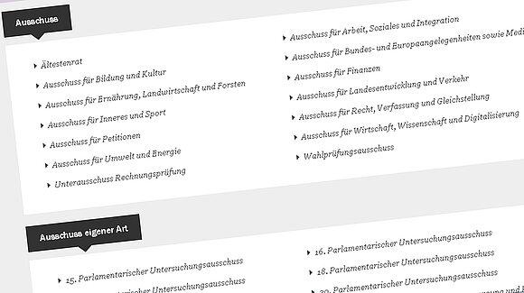 Screenshot vom Ausschussverzeichnis auf der Internetseite des Landtags von Sachsen-Anhalt.