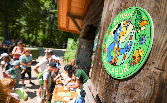 Aktion am Eröffnungstag des Wald-Lehrpfads für Schulklassen im Waldlabors Zürich (Juni 2023).