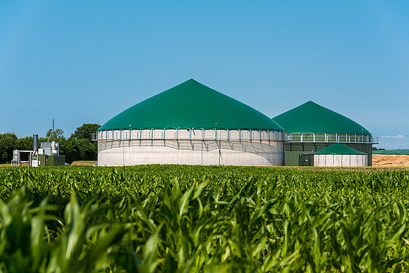 Biogasanlage vor Maisfeld