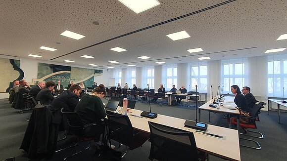 Die zyprische Botschafterin, I. E. Maria Papakyriakou (2.v.r.), spricht vor dem Ausschuss