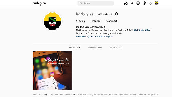 ltlsa/Screenshot Screenshot vom Landtags-Account bei Instagram.