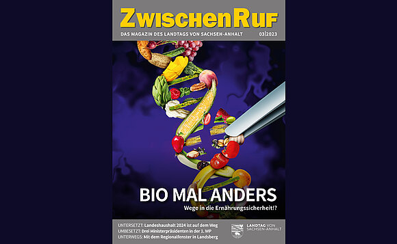 Titelseite der ZwischenRuf-Ausgabe 3|2023.