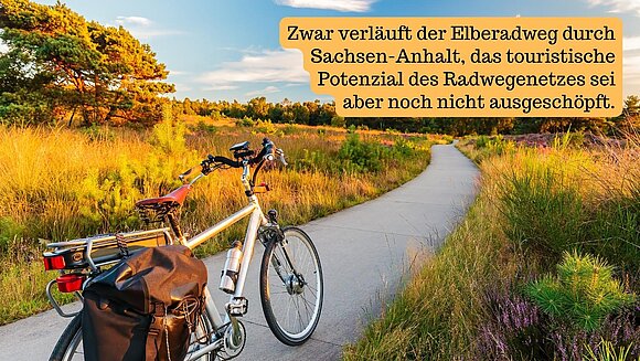 Foto von Fahrrad in Natur und Information: Zwar verläuft der Elberadweg durch Sachsen-Anhalt, das touristische Potenzial des Radwegenetzes sei aber noch nicht ausgeschöpft.