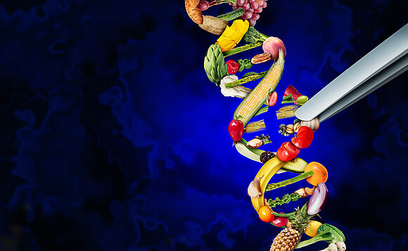 Sollte mit mehr Biotechnologie die Lebensmittelproduktion beeinflusst werden?