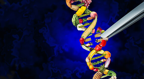 Sollte mit mehr Biotechnologie die Lebensmittelproduktion beeinflusst werden?