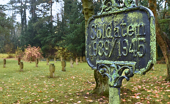 Volkstrauertag 2025, im Bild ein Gräberfeld auf dem Magdeburger Westfriedhof.