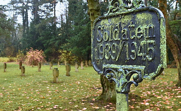 Volkstrauertag 2025, im Bild ein Gräberfeld auf dem Magdeburger Westfriedhof.