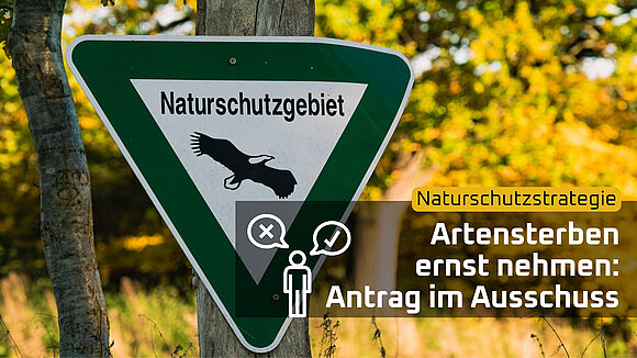 Canva/ltlsa Die Fraktion von BÜNDNIS 90/DIE GRÜNEN setzt sich für eine Naturschutzstrategie ein.