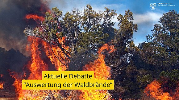 Waldbrand