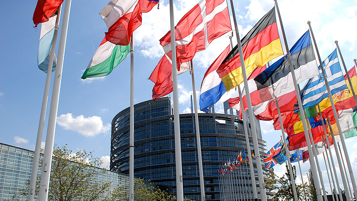 Flaggen der Mitgliedsstaaten vor dem EU-Parlament in Straßburg.