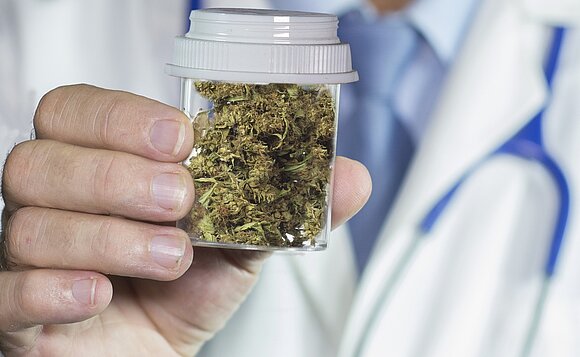 Ein Arzt hält medizinisches Cannabis in die Kamera.