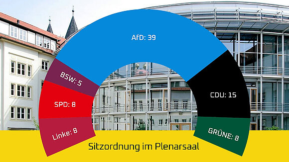 Grafik: Anzahl Abgeordnete pro Fraktion im Plenum